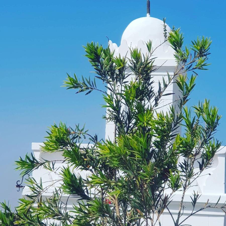 Riad Thamayna ซาเล ภายนอก รูปภาพ
